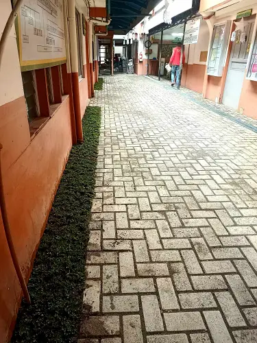 Image 7